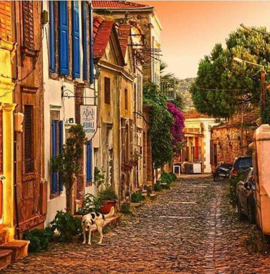 Cunda Adali Pansiyon Ayvalı エクステリア 写真